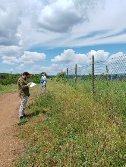 Sampling field margins - Grosseto